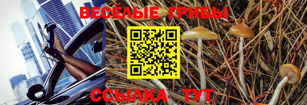 Псилоцибиновые грибы MAGIC MUSHROOMS  Вход с VPN  Донской 
